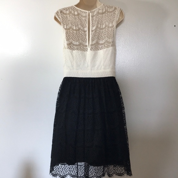 Jessica Simpson Ivory/Black Lace Midi Dress Sz 6 NWT MSRP: $200 - Picture 6 of 7
